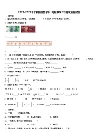 2022-2023学年新疆维吾尔喀什地区数学三下期末预测试题含解析