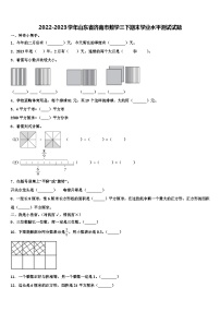 2022-2023学年山东省济南市数学三下期末学业水平测试试题含解析