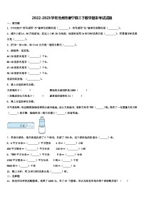 2022-2023学年沧州市肃宁县三下数学期末考试试题含解析