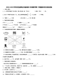 2022-2023学年河北省邢台市南和县三年级数学第二学期期末综合测试试题含解析