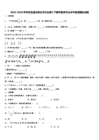 2022-2023学年河北省石家庄市元氏县三下数学期末学业水平测试模拟试题含解析