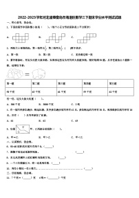 2022-2023学年河北省秦皇岛市海港区数学三下期末学业水平测试试题含解析