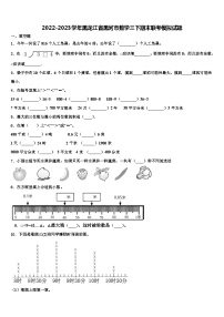 2022-2023学年黑龙江省黑河市数学三下期末联考模拟试题含解析