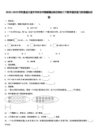 2022-2023学年黑龙江省齐齐哈尔市梅里斯达斡尔族区三下数学期末复习检测模拟试题含解析