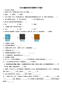 2023届保定市定兴县数学三下期末含解析