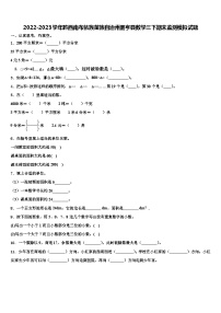 2022-2023学年黔西南布依族苗族自治州册亨县数学三下期末监测模拟试题含解析