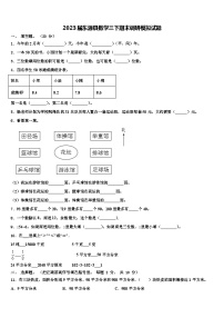 2023届东源县数学三下期末调研模拟试题含解析