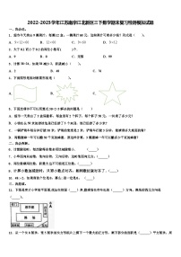 2022-2023学年江苏南京江北新区三下数学期末复习检测模拟试题含解析