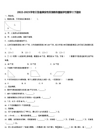 2022-2023学年江苏省淮安市洪泽县外国语学校数学三下期末含解析