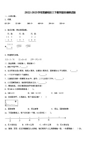 2022-2023学年昆都伦区三下数学期末调研试题含解析