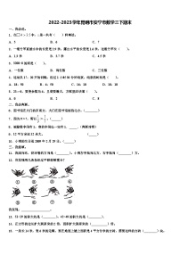 2022-2023学年昆明市安宁市数学三下期末含解析