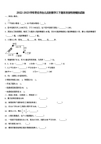 2022-2023学年枣庄市台儿庄区数学三下期末质量检测模拟试题含解析