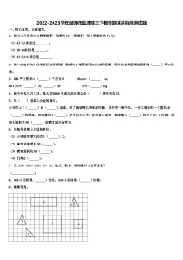 2022-2023学年昭通市盐津县三下数学期末达标检测试题含解析