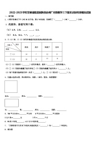 2022-2023学年甘肃省临夏回族自治州广河县数学三下期末达标检测模拟试题含解析