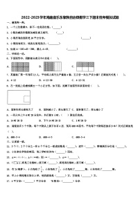 2022-2023学年海南省乐东黎族自治县数学三下期末统考模拟试题含解析