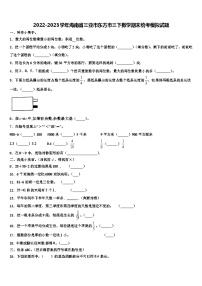 2022-2023学年海南省三亚市东方市三下数学期末统考模拟试题含解析