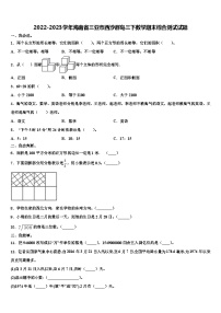 2022-2023学年海南省三亚市西沙群岛三下数学期末综合测试试题含解析