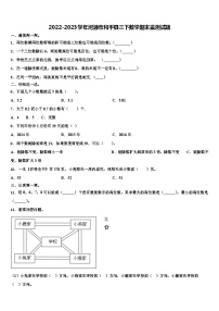 2022-2023学年河源市和平县三下数学期末监测试题含解析