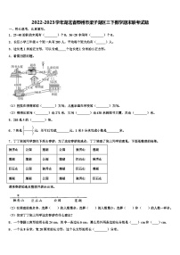 2022-2023学年湖北省鄂州市梁子湖区三下数学期末联考试题含解析