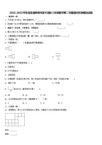 2022-2023学年湖北省鄂州市梁子湖区三年级数学第二学期期末检测模拟试题含解析