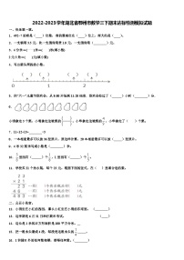 2022-2023学年湖北省鄂州市数学三下期末达标检测模拟试题含解析