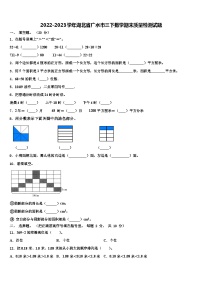 2022-2023学年湖北省广水市三下数学期末质量检测试题含解析