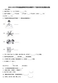 2022-2023学年湖南省郴州市桂东县数学三下期末综合测试模拟试题含解析