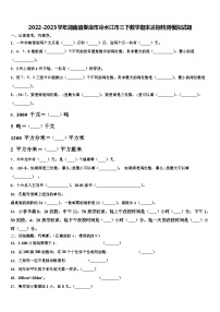 2022-2023学年湖南省娄底市冷水江市三下数学期末达标检测模拟试题含解析