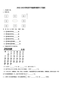 2022-2023学年济宁市曲阜市数学三下期末含解析