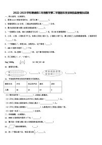 2022-2023学年理塘县三年级数学第二学期期末质量跟踪监视模拟试题含解析