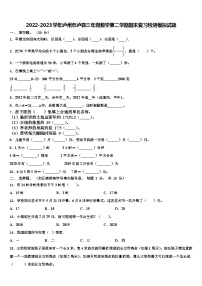 2022-2023学年泸州市泸县三年级数学第二学期期末复习检测模拟试题含解析