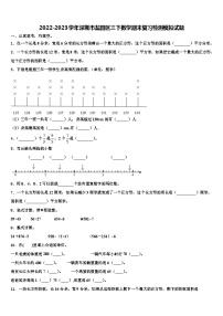 2022-2023学年深圳市盐田区三下数学期末复习检测模拟试题含解析