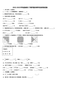 2022-2023学年疏附县三下数学期末教学质量检测试题含解析