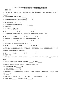 2022-2023学年淅川县数学三下期末复习检测试题含解析