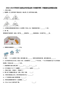 2022-2023学年浙江省舟山市定岱山县三年级数学第二学期期末监测模拟试题含解析