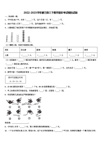 2022-2023学年都兰县三下数学期末考试模拟试题含解析