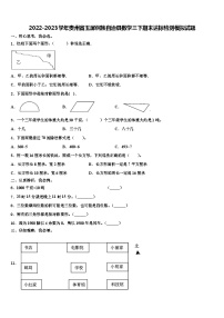 2022-2023学年贵州省玉屏侗族自治县数学三下期末达标检测模拟试题含解析