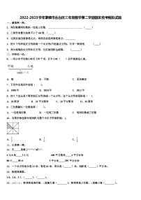 2022-2023学年邯郸市丛台区三年级数学第二学期期末统考模拟试题含解析