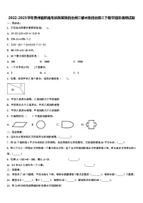 2022-2023学年贵州省黔南布依族苗族自治州三都水族自治县三下数学期末调研试题含解析