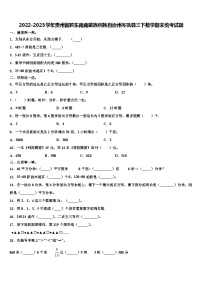 2022-2023学年贵州省黔东南南苗族侗族自治州岑巩县三下数学期末统考试题含解析