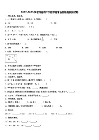 2022-2023学年辉南县三下数学期末质量检测模拟试题含解析