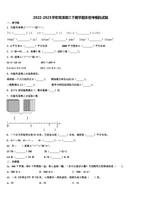 2022-2023学年鸡泽县三下数学期末统考模拟试题含解析