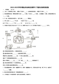 2022-2023学年马鞍山市金家庄区数学三下期末达标检测试题含解析