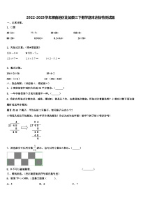 2022-2023学年那曲地区比如县三下数学期末达标检测试题含解析