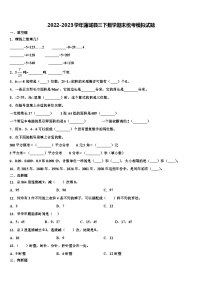 2022-2023学年蒲城县三下数学期末统考模拟试题含解析