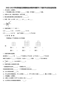 2022-2023学年青海省玉树藏族自治州称多县数学三下期末学业质量监测试题含解析