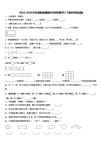 2022-2023学年陕西省渭南市华阴市数学三下期末检测试题含解析