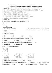 2022-2023学年陕西省渭南市蒲城县三下数学期末统考试题含解析