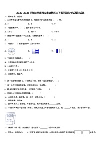 2022-2023学年陕西省西安市碑林区三下数学期末考试模拟试题含解析