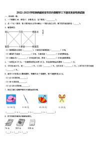 2022-2023学年陕西省延安市志丹县数学三下期末质量检测试题含解析